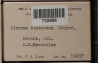 Image Associated With the Occurence